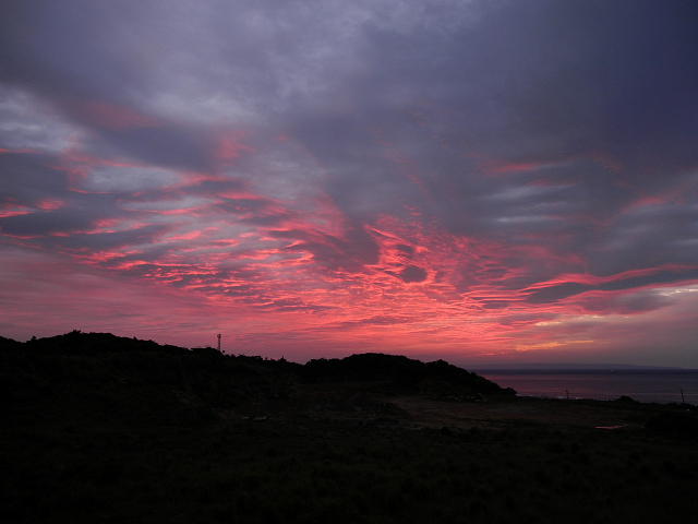 http://greenmessenger-yakushima.com/blog/r0236.jpg