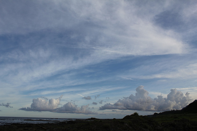 http://greenmessenger-yakushima.com/blog/resize0048.jpg