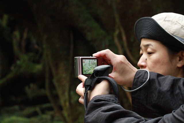 http://greenmessenger-yakushima.com/blog/resize00702.jpg