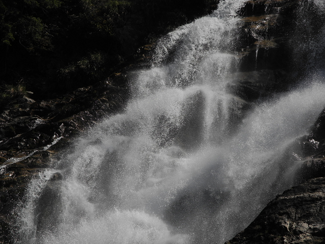 http://greenmessenger-yakushima.com/blog/resize0135.jpg