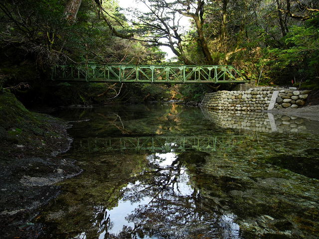 http://greenmessenger-yakushima.com/blog/resize0208.jpg