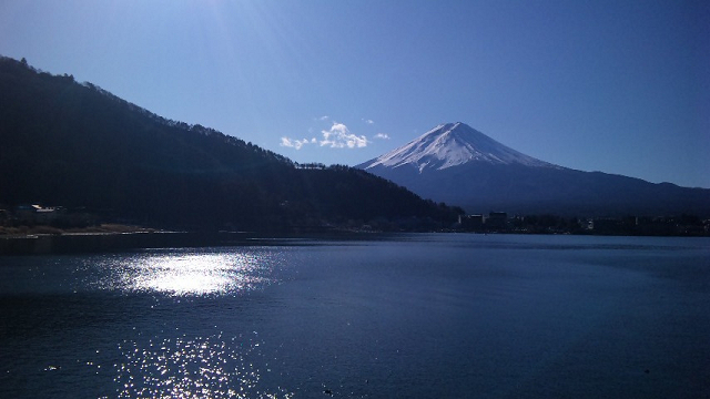 http://greenmessenger-yakushima.com/blog/resize0236.jpg