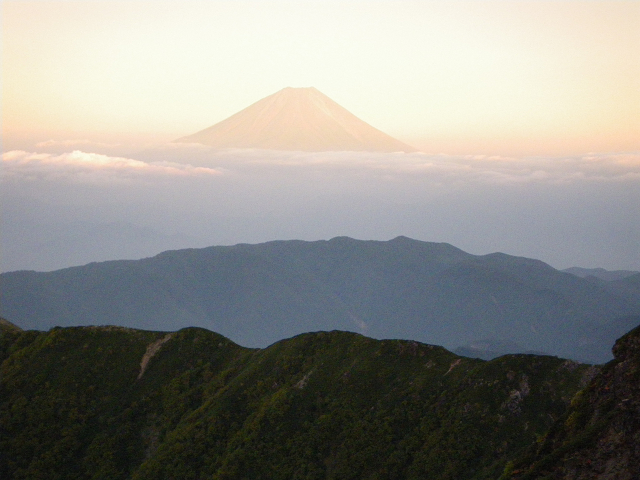 http://greenmessenger-yakushima.com/blog/resize0243.jpg