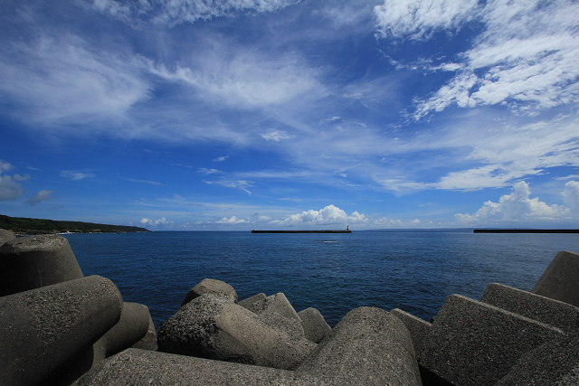 http://greenmessenger-yakushima.com/blog/resize0352.jpg