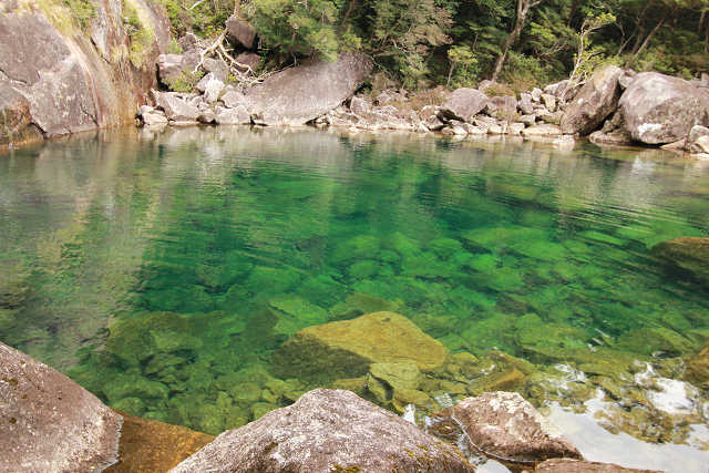 http://greenmessenger-yakushima.com/blog/resize0427.jpg