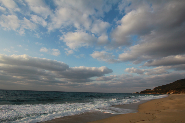 http://greenmessenger-yakushima.com/blog/resize0455.jpg