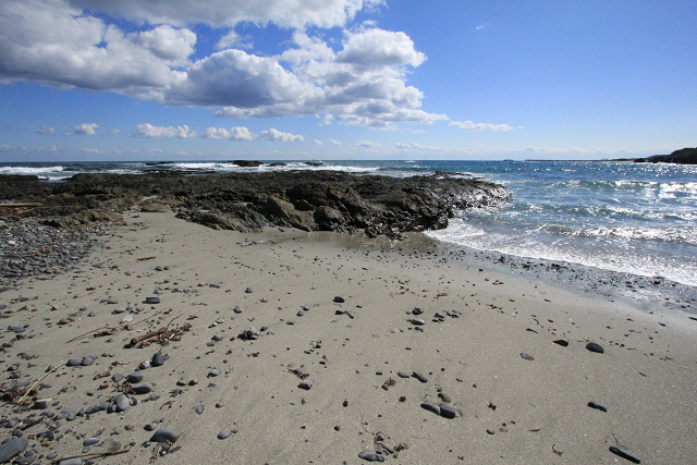 http://greenmessenger-yakushima.com/blog/resize0494.jpg