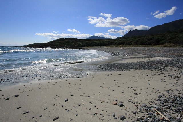 http://greenmessenger-yakushima.com/blog/resize0495.jpg