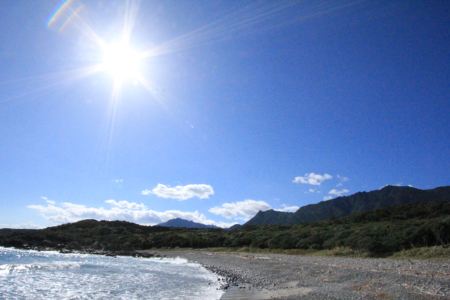 http://greenmessenger-yakushima.com/blog/resize0497.jpg