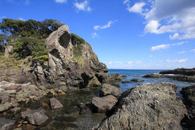 http://greenmessenger-yakushima.com/blog/resize0499.jpg