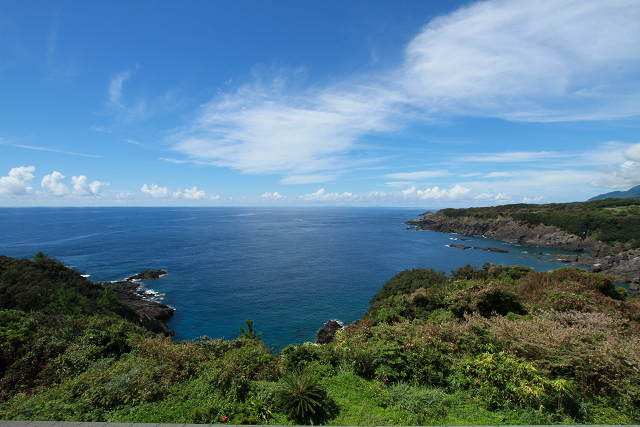 http://greenmessenger-yakushima.com/blog/resize0543.jpg