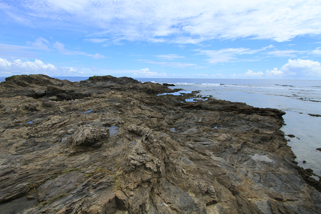 http://greenmessenger-yakushima.com/blog/resize0552.jpg