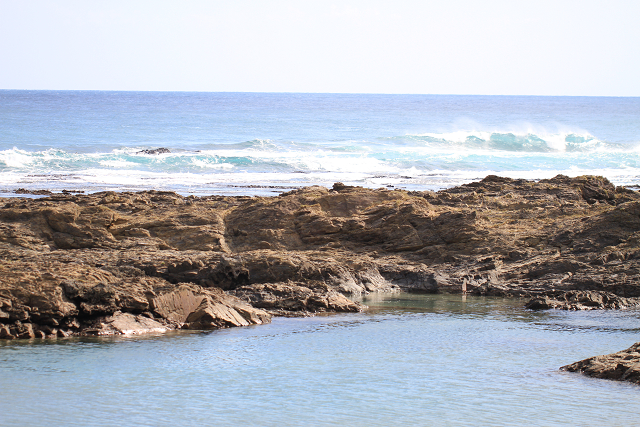 http://greenmessenger-yakushima.com/blog/resize0661.jpg