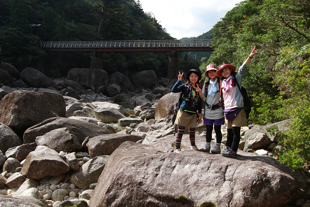 http://greenmessenger-yakushima.com/blog/resize0666.jpg