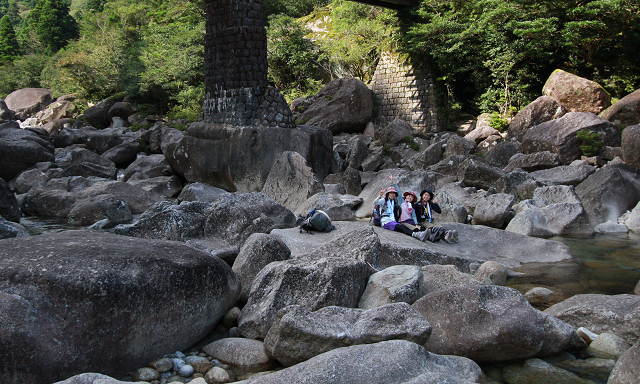 http://greenmessenger-yakushima.com/blog/resize0668.jpg