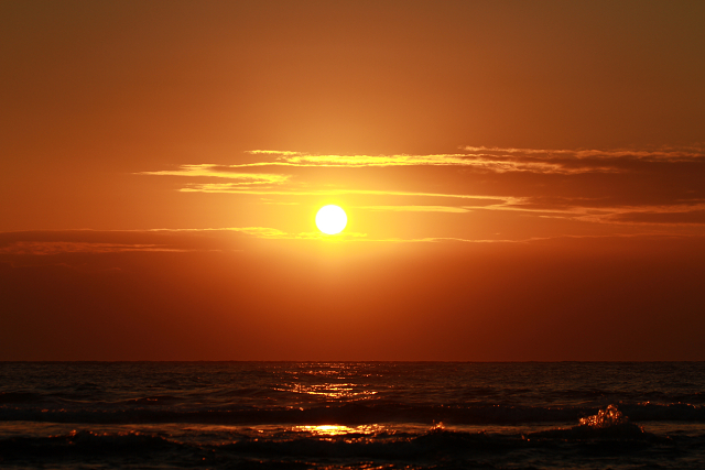 http://greenmessenger-yakushima.com/blog/resize0673.jpg