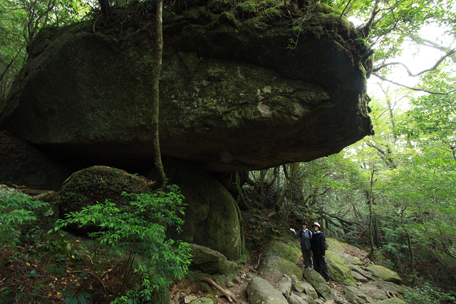 http://greenmessenger-yakushima.com/blog/resize0701.jpg