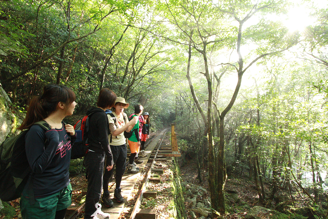 http://greenmessenger-yakushima.com/blog/resize0703.jpg