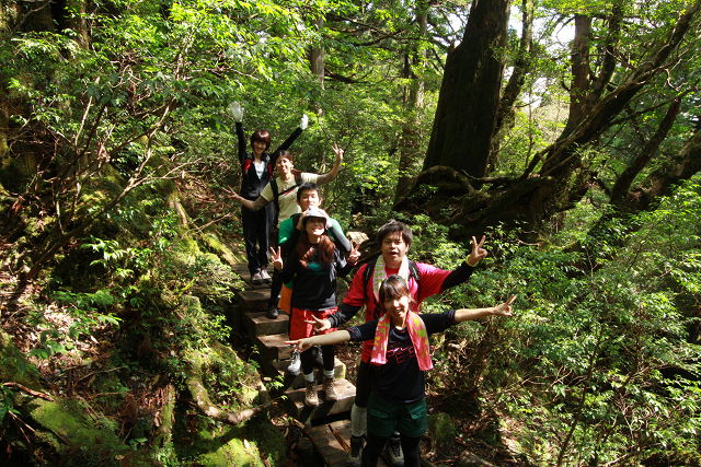 http://greenmessenger-yakushima.com/blog/resize0707.jpg