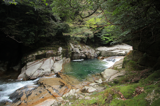 http://greenmessenger-yakushima.com/blog/resize0708.jpg