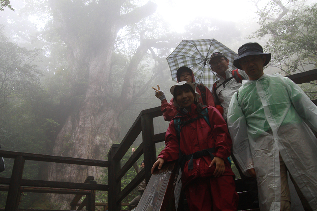 http://greenmessenger-yakushima.com/blog/resize0709.jpg