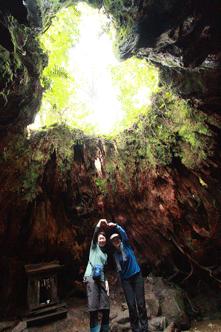 http://greenmessenger-yakushima.com/blog/resize0714.jpg