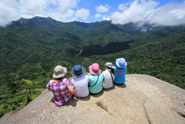 http://greenmessenger-yakushima.com/blog/resize0722.jpg