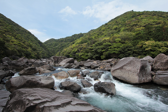 http://greenmessenger-yakushima.com/blog/resize0752.jpg