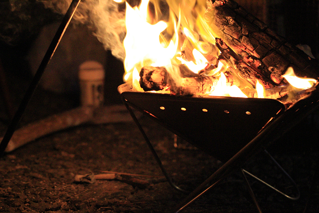 http://greenmessenger-yakushima.com/blog/resize0756.jpg