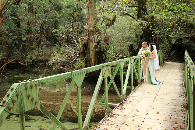 http://greenmessenger-yakushima.com/blog/resize0768.jpg