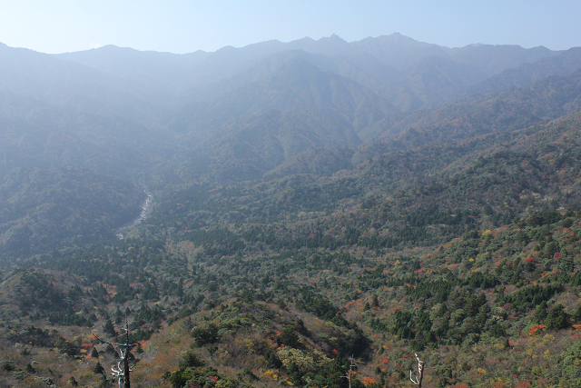 http://greenmessenger-yakushima.com/blog/resize0773.jpg