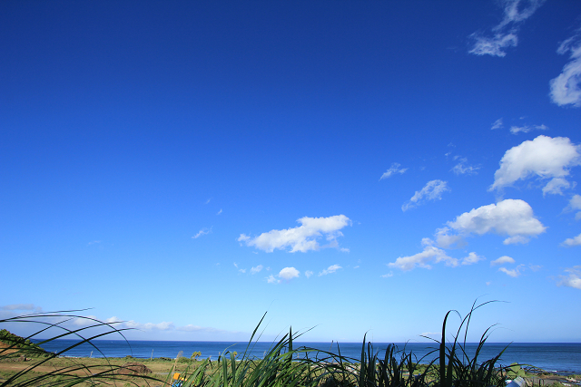 http://greenmessenger-yakushima.com/blog/resize0789.jpg