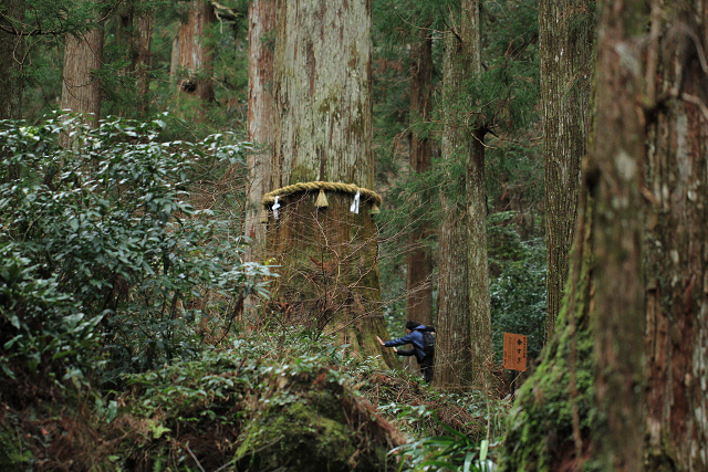 http://greenmessenger-yakushima.com/blog/resize0823.jpg