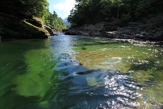 http://greenmessenger-yakushima.com/blog/resize0851.jpg