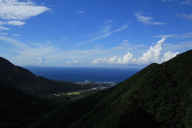 http://greenmessenger-yakushima.com/blog/resize0852.jpg