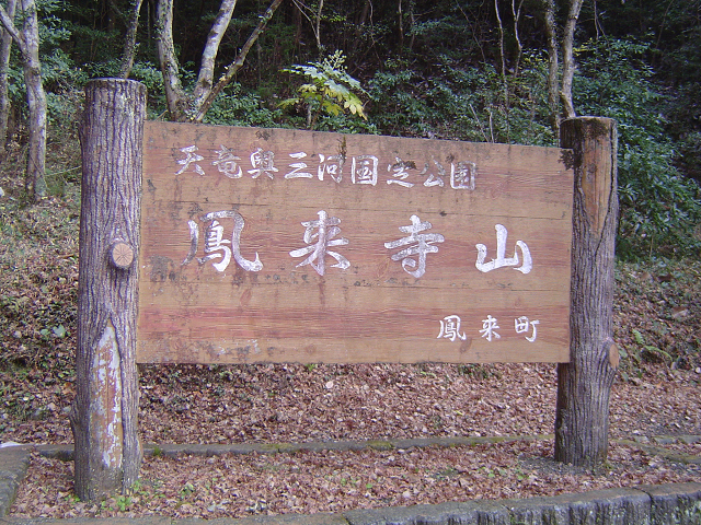 http://greenmessenger-yakushima.com/blog/resize0857.jpg