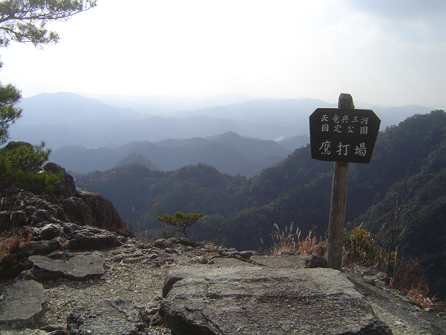 http://greenmessenger-yakushima.com/blog/resize0858.jpg