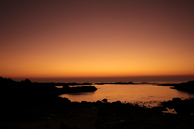 http://greenmessenger-yakushima.com/blog/resize0860.jpg