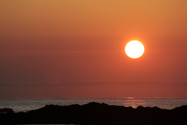 http://greenmessenger-yakushima.com/blog/resize0867.jpg