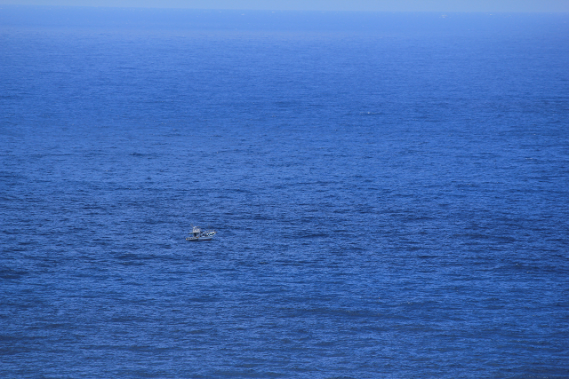 http://greenmessenger-yakushima.com/blog/resize0870.jpg