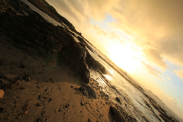 http://greenmessenger-yakushima.com/blog/resize0874.jpg