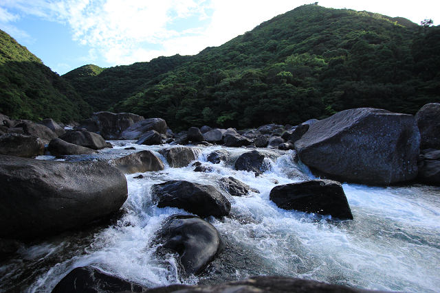 http://greenmessenger-yakushima.com/blog/resize0875.jpg