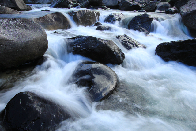 http://greenmessenger-yakushima.com/blog/resize0876.jpg