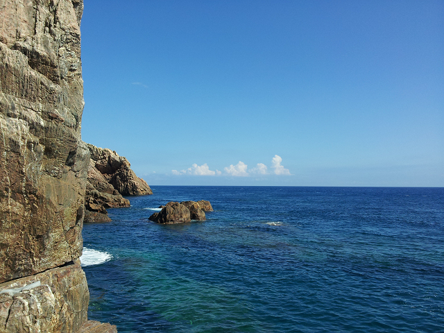 http://greenmessenger-yakushima.com/blog/resize0885.jpg