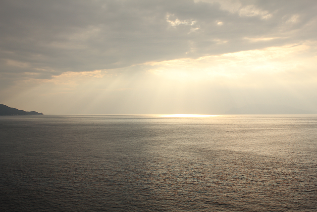 http://greenmessenger-yakushima.com/blog/resize0896.jpg