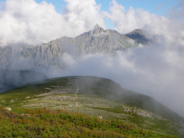 http://greenmessenger-yakushima.com/blog/resize0916.jpg