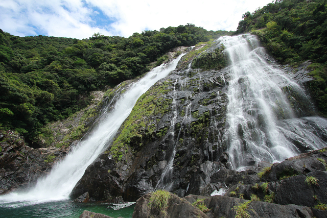 http://greenmessenger-yakushima.com/blog/resize0939.jpg