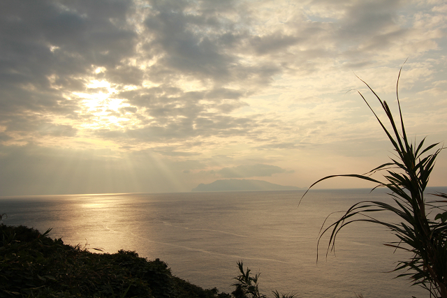 http://greenmessenger-yakushima.com/blog/resize0941.jpg