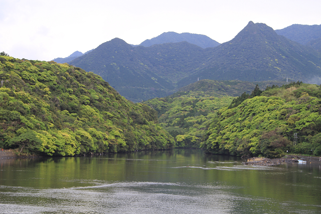 http://greenmessenger-yakushima.com/blog/resize0943.jpg