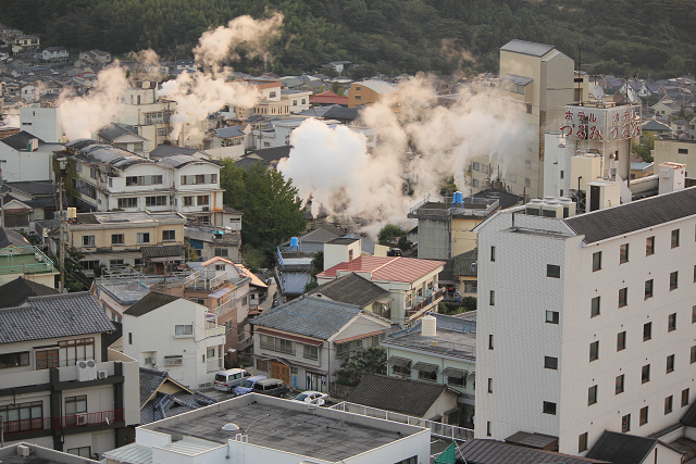 http://greenmessenger-yakushima.com/blog/resize0960.jpg